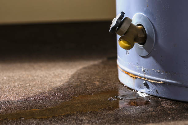 Best Water damage contractors near me  in Orida Gulf Coast University, FL