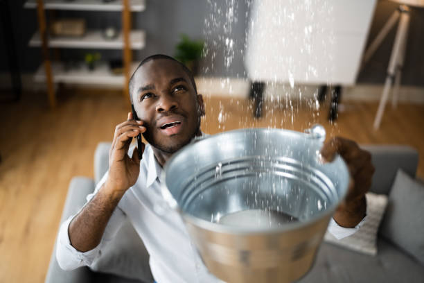  Orida Gulf Coast University, FL Water damage restoration Pros