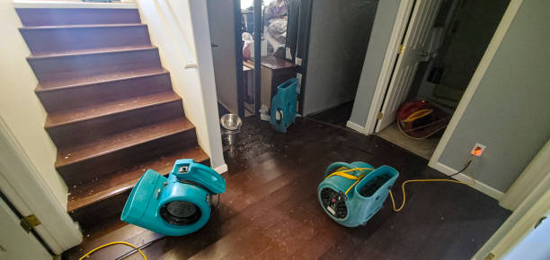 Best Water damage restoration near me  in Orida Gulf Coast University, FL