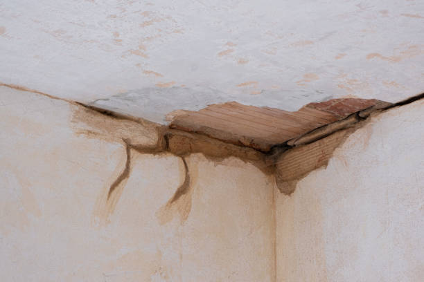 Best Sewage cleanup and water damage restoration  in Orida Gulf Coast University, FL