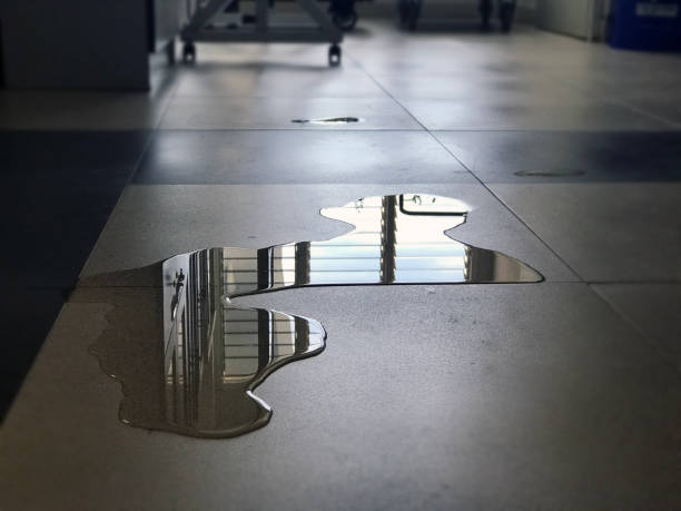 Best Water damage repair service  in Orida Gulf Coast University, FL