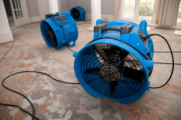 Best Water damage restoration near me  in Orida Gulf Coast University, FL