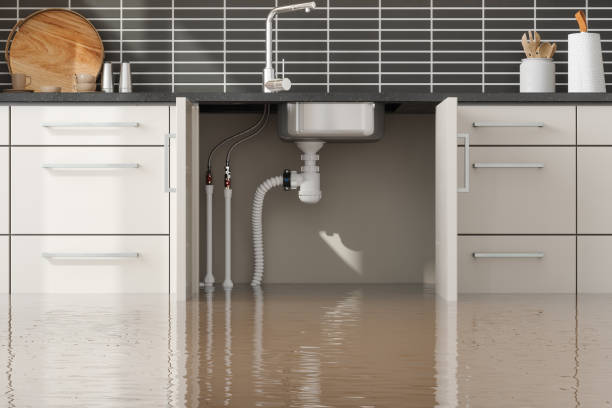 Best Basement water damage restoration  in Orida Gulf Coast University, FL