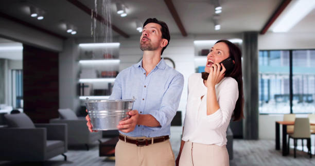 Best Water damage cleanup near me  in Orida Gulf Coast University, FL